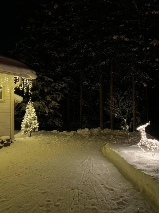 Arctic Circle Guesthouse Rovaniemi Esterno foto
